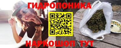 шишки Жуковский