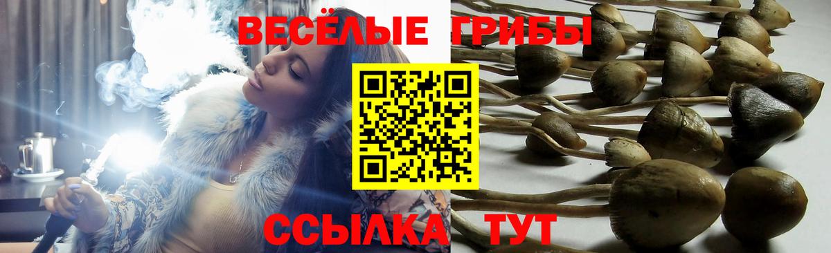Комсомольск-на-Амуре  Галлюциногенные грибы Cubensis  Псилоцибиновые грибы Psilocybine cubensis  купить наркотики сайты  Вход с VPN 